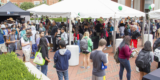 party on the quad